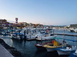 Another view of inside the Cabo harbor